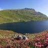 Schladming-Dachstein - Chalet Schladming-Rohrmoos