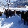 Schladming-Dachstein - Pension 