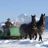 SkiWelt Wilder Kaiser-Brixental  - Ferienwohnungen Kaiserhof