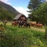 Schladming-Dachstein - Angereralm