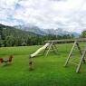 SkiWelt Wilder Kaiser-Brixental  - Bauernhof Oberbäringerhof