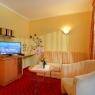 SkiWelt Wilder Kaiser-Brixental  - Holiday Appartements