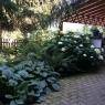 Schladming-Dachstein - Appartement Reiter