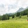 SkiWelt Wilder Kaiser-Brixental  - Haus Elisabeth Lohfeyer