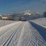 SkiWelt Wilder Kaiser-Brixental  - Salvenmoser Johanna, Ferienwohnung