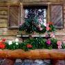 Schladming-Dachstein - Haus Weinacht