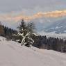 Schladming-Dachstein - Haus Bergland