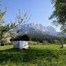 SkiWelt Wilder Kaiser-Brixental  - Gästehaus Brantlhof