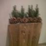 Schladming-Dachstein - Appartement Margit