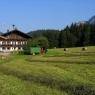 SkiWelt Wilder Kaiser-Brixental  - Bauernhof Oberachenhof