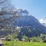 Grindelwald - Firstsunne