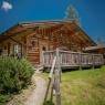 Schladming-Dachstein - Almwelt Austria