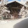 SkiWelt Wilder Kaiser-Brixental  - Bauernhof Petererhof