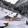 Schladming-Dachstein - Appartement Erhardt