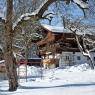 SkiWelt Wilder Kaiser-Brixental  - Bauernhof Ledererbauer