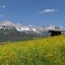 SkiWelt Wilder Kaiser-Brixental  - Chalet Grizzly