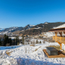 Megeve - Chalet Grey Swan - Chalet 250m² _ 8p