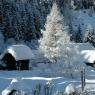 Schladming-Dachstein - Feriendorf Hinterwald