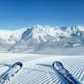 SkiWelt Wilder Kaiser-Brixental  - Ferienwohnung Springer