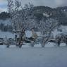 SkiWelt Wilder Kaiser-Brixental  - Appartement Bergheim