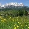 SkiWelt Wilder Kaiser-Brixental  - Kaiserchalet Dancy