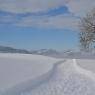 SkiWelt Wilder Kaiser-Brixental  - Biobauernhof Schuster