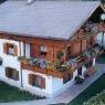 SkiWelt Wilder Kaiser-Brixental  - Salcher, Ferienwohnung