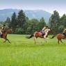 Flachau - Alpin Apart