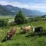 Schladming-Dachstein - Ferienhaus Schwab Brunner