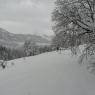 SkiWelt Wilder Kaiser-Brixental  - Bauernhof Obholzhof - Peter u. Maria Feger