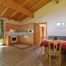 SkiWelt Wilder Kaiser-Brixental  - Moser, Appartements