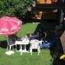 Schladming-Dachstein - Appartements Kofler
