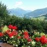 Schladming-Dachstein - Haus Adler