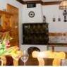Schladming-Dachstein - Ferienhaus Trinker