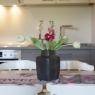 Flachau - Philips, Appartement