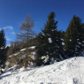 Arosa - Lenzerheide - Forigel Gartenwohnung