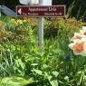 Schladming-Dachstein - Appartement Livia