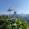 SkiWelt Wilder Kaiser-Brixental  - Hofbichl, Bauernhof -Fam. Faistenauer