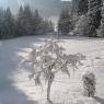 SkiWelt Wilder Kaiser-Brixental  - Ferienwohnungen Saghäusl - Michaela Gruber