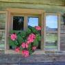 Schladming-Dachstein - Haus Alexander
