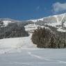 SkiWelt Wilder Kaiser-Brixental  - Bergrose, Appartement