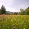Schladming-Dachstein - Ferienhaus Troadkasten
