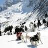 Val di Sole - ADAMELLO