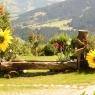 SkiWelt Wilder Kaiser-Brixental  - Hühnersbichlhof - Wartlsteiner Markus