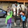 Schladming-Dachstein - Ferienwohnungen Maderebner