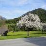 Schladming-Dachstein - Andenbacherhof
