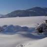 SkiWelt Wilder Kaiser-Brixental  - Haus Pöll