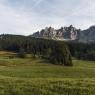 SkiWelt Wilder Kaiser-Brixental  - Haus Elisabeth Lohfeyer