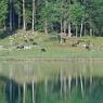 SkiWelt Wilder Kaiser-Brixental  - Appartement Seespitz