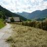 Schladming-Dachstein - Appartement Fenzhof